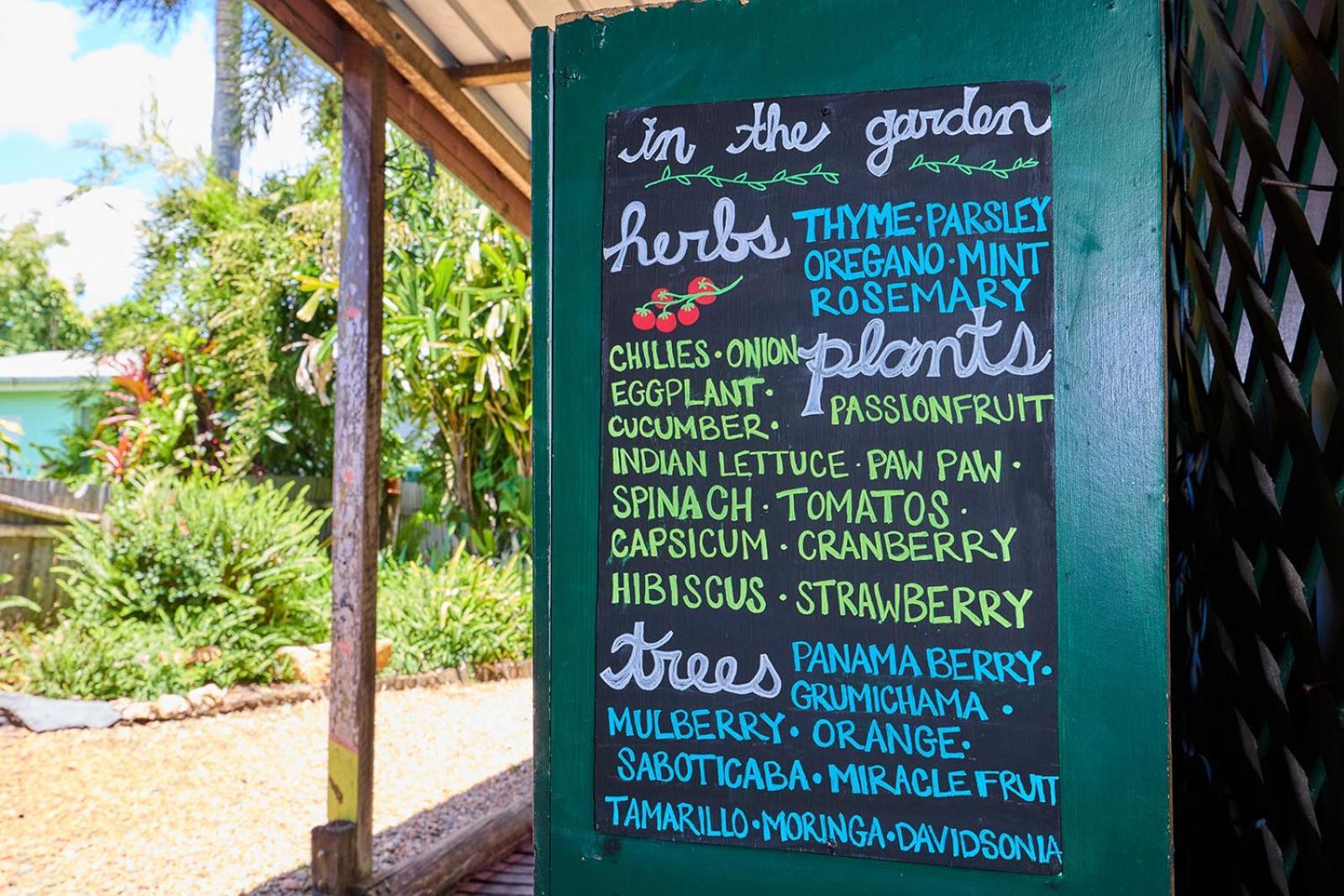 On The Wallaby Eco Lodge Yungaburra Exterior photo